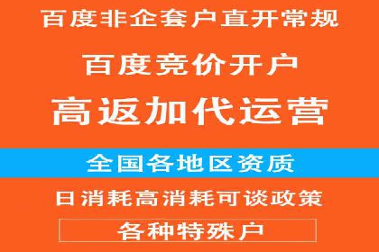 快手信息流广告策略：成功案例揭秘